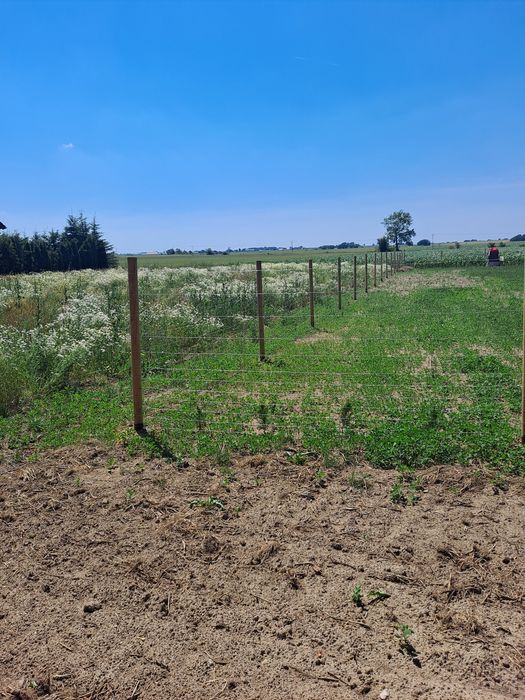 Ogrodzenie budowlane leśne tymczasowe 15zl