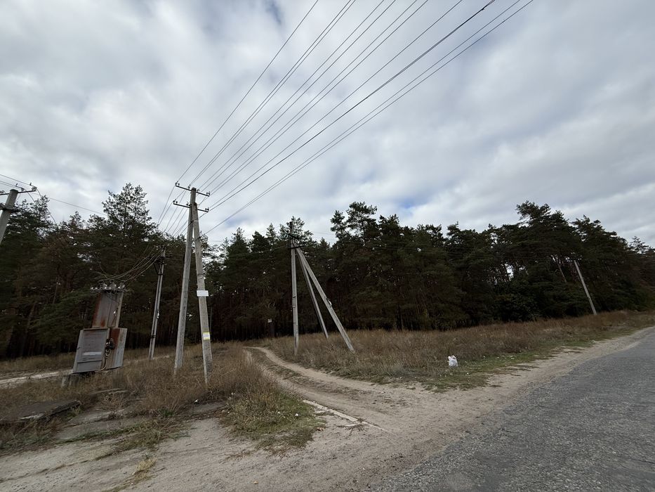 Продам участок с. Орловщина возле соснового леса