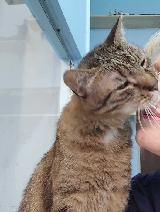 Bruno, słodki chłopak z charakterem