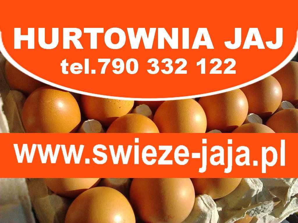 ŚWIEŻE JAJKA, Hurt Jajek, Jajka Ekologiczne, Miód Naturalny — Dostawa