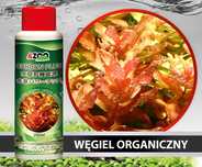 Azoo Carbon Plus 120ml.