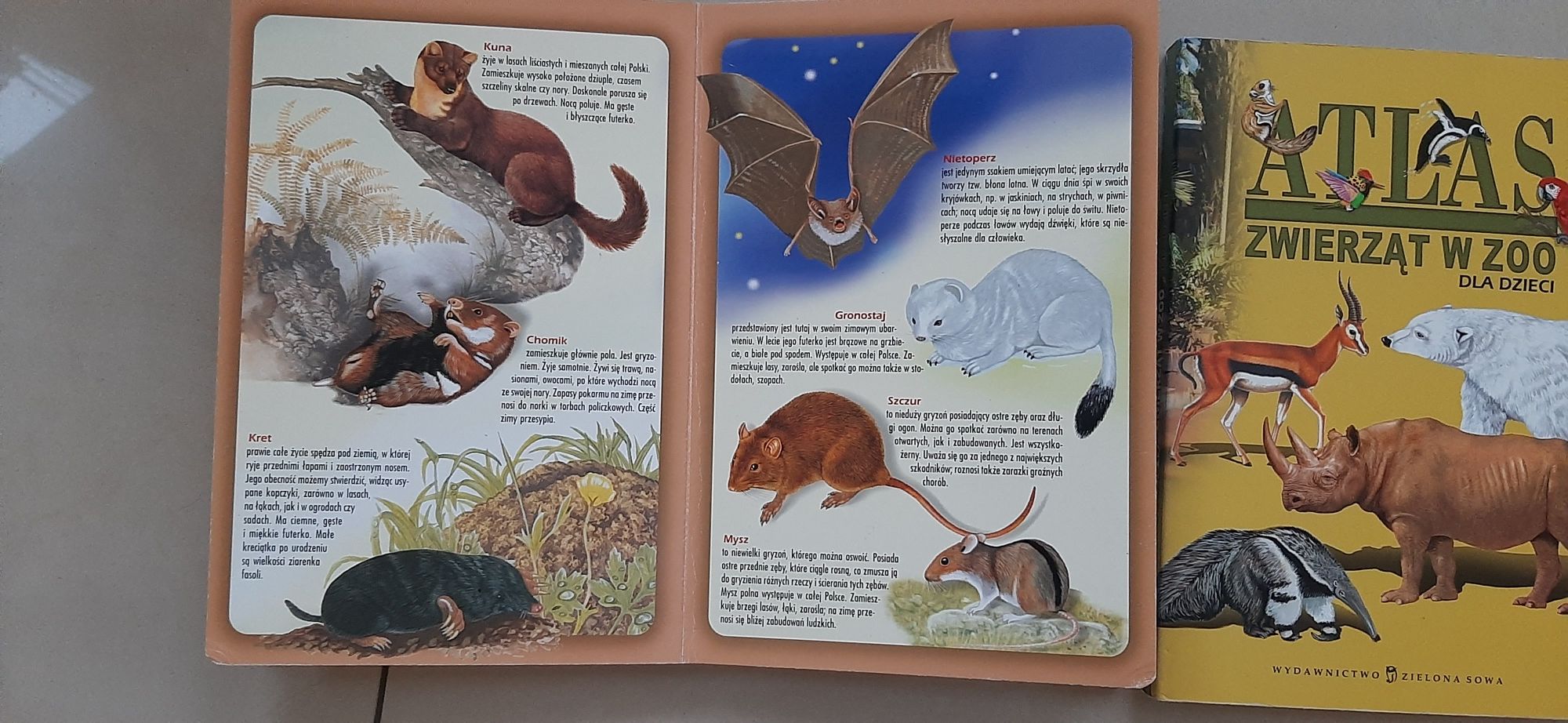 Atlas zwierząd Polski, w Zoo 2 szt twarde kartki