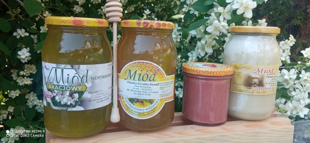 Miód rzepakowy z rodzinnej pasieki