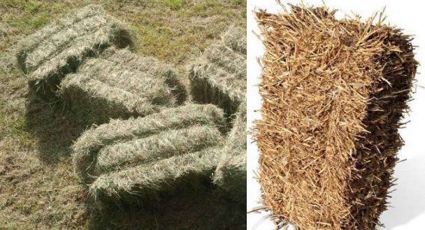 SŁOMA sucha , Siano tez (dostawa na CAŁEJ POLSCE) !! Zapraszam !