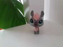 lps Lama generacja 4