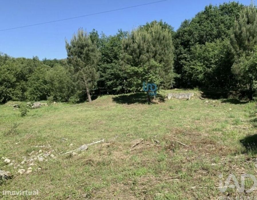 Terreno Agrícola em Covas