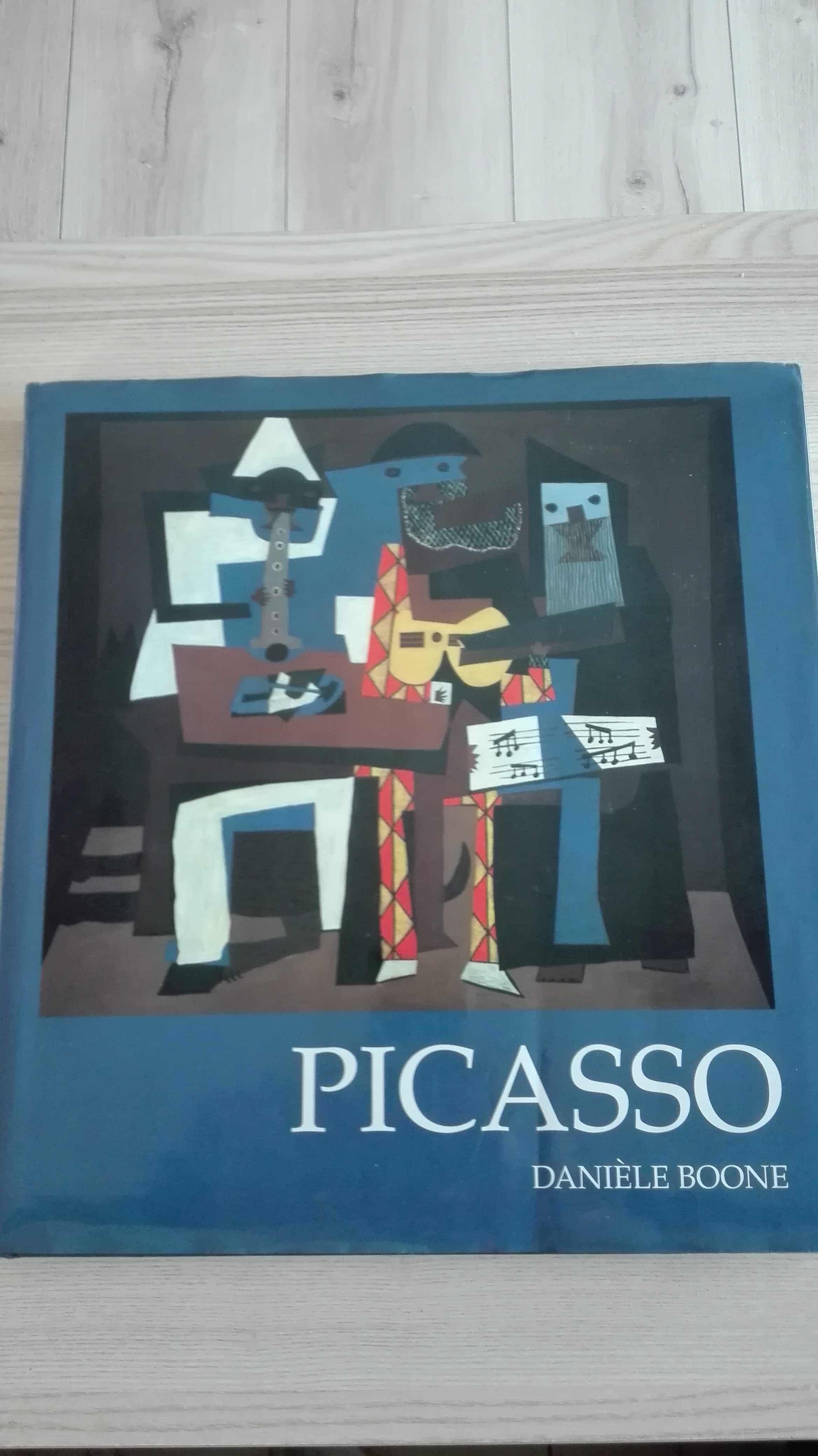 PICASSO Daniele Boone