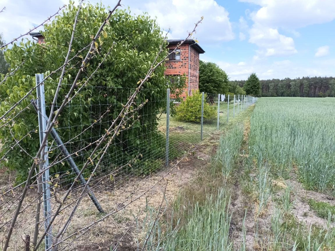 Ogrodzenie systemowe , tymczasowe, budowlane, leśne, siatka leśna