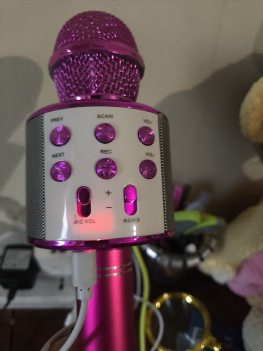 Караоке- мікрофон