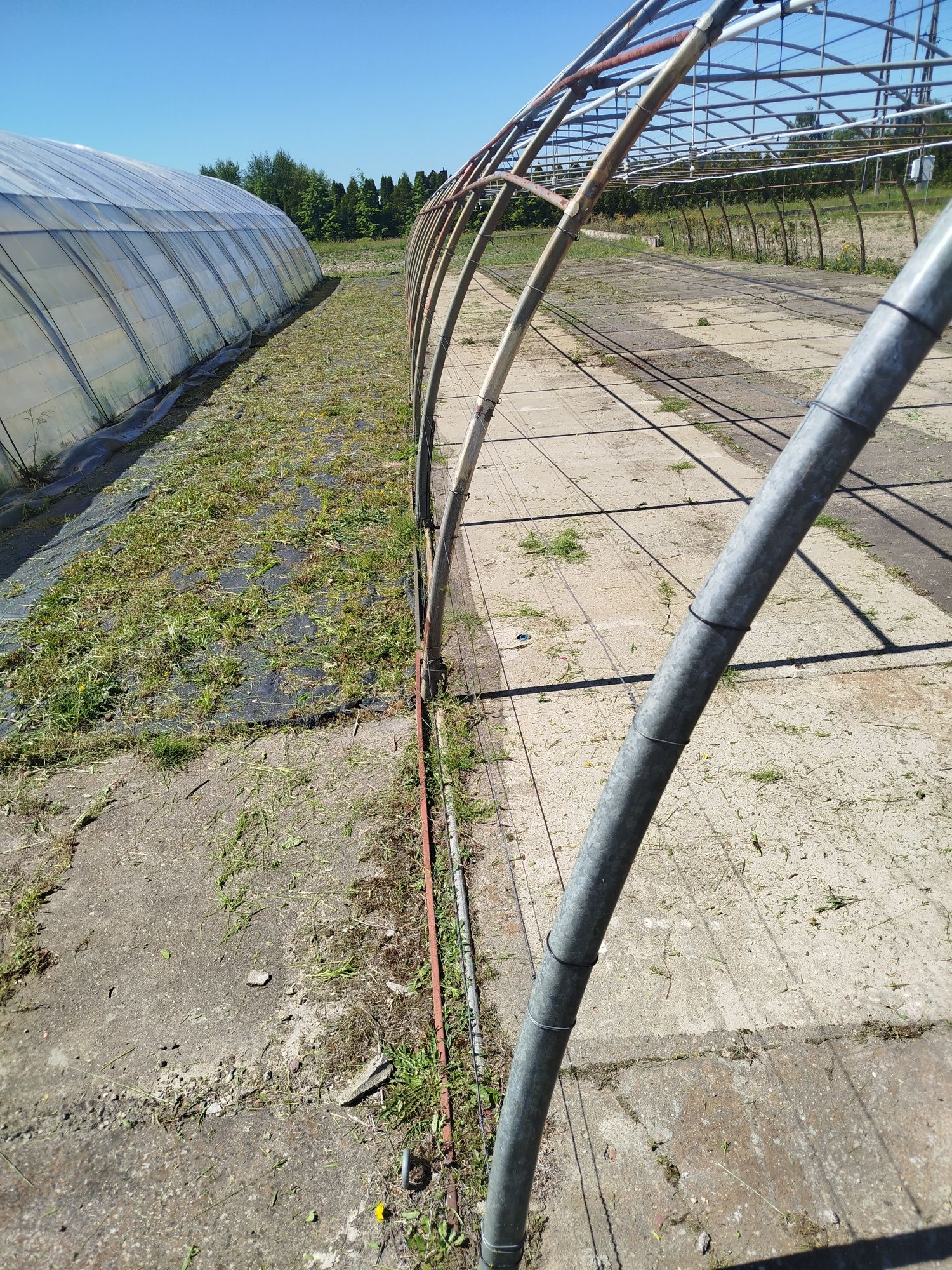Tunele foliowe produkcyjne