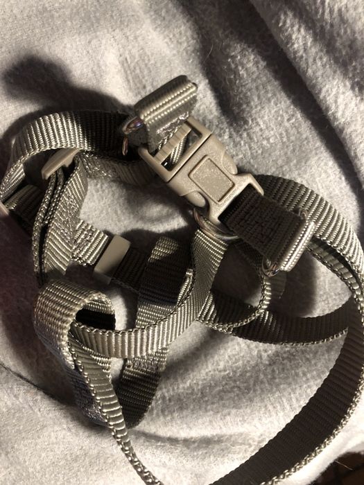 Trelas de 1,2mt e arnez /cão porte médio +10kg