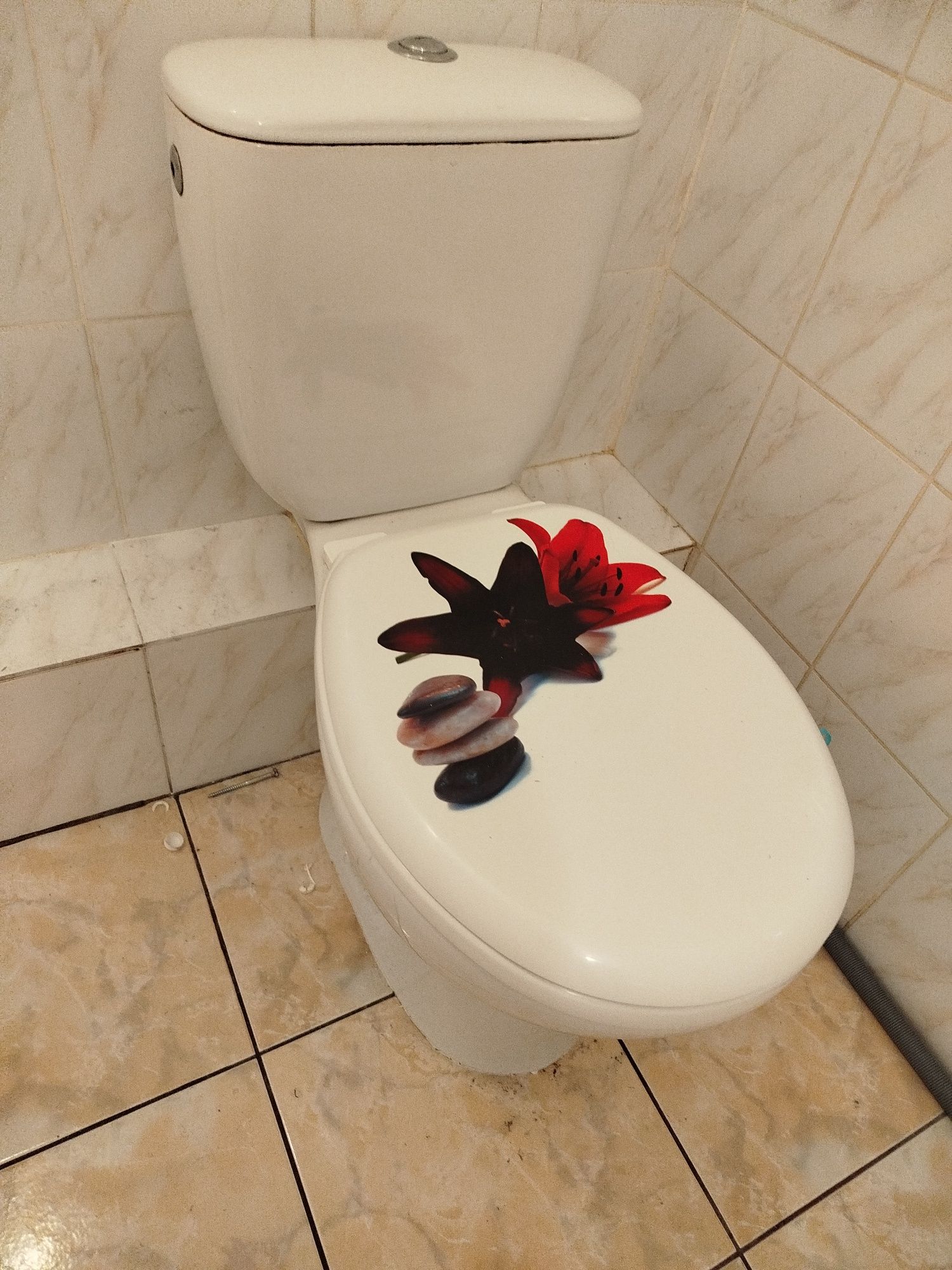 Miska WC kompakt