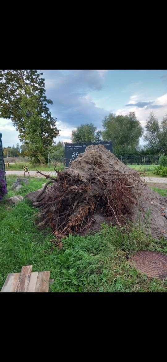 Ziemia z wykopu oddam za darmo