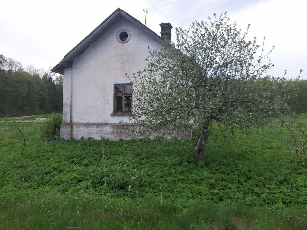 Дача, с.Мідне Бродівський р-н, будинок, земля, земельна ділянка