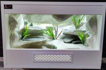 Terrarium pustynne nr543 60/40/40 dla gekona lamparciego NA ZAMÓWIENIE