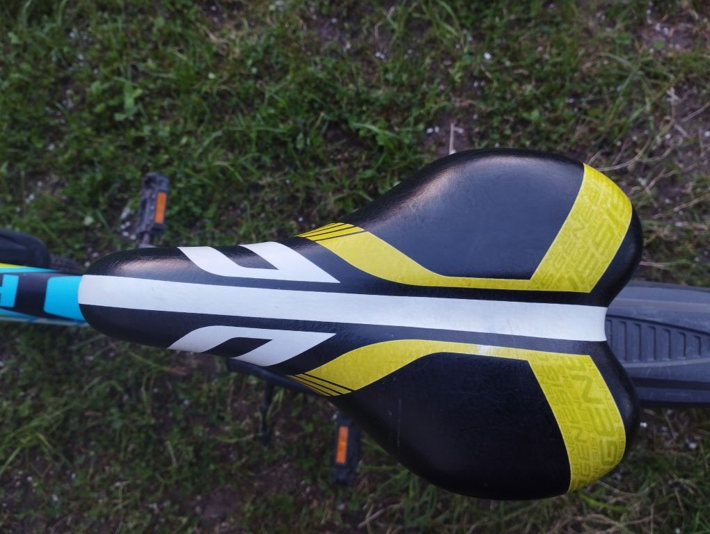 Rower Genesis 24''