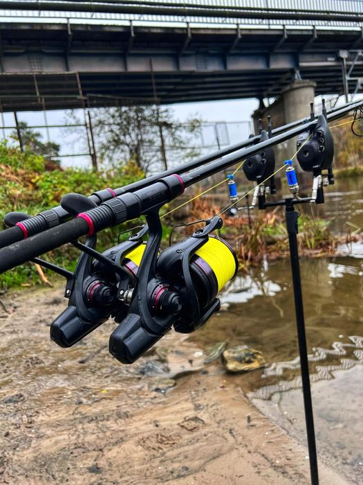Wędki karpiowe Greys X Flite 10ft 3,5lb + kołowrotki Daiwa Whisker 45