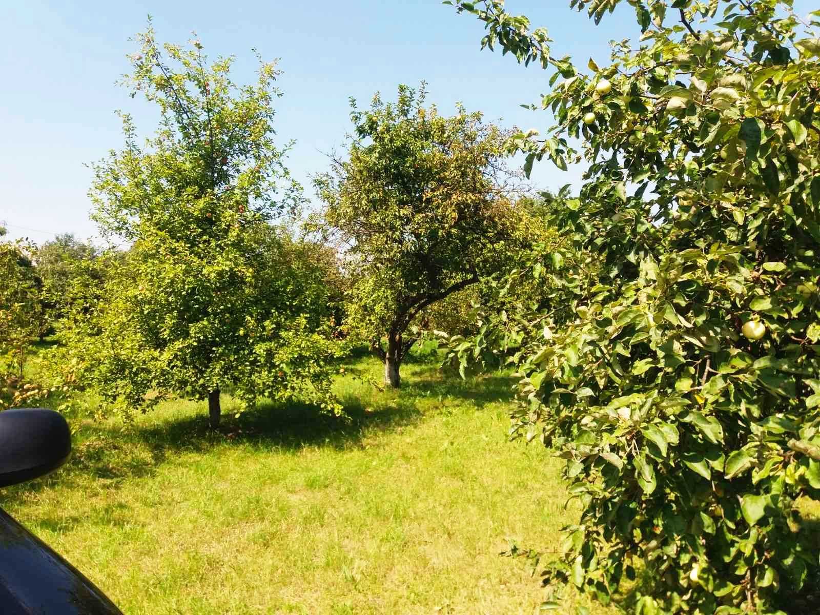продам земельну ділянку 29 соток в м. Болехів вул. Січових Стрільців