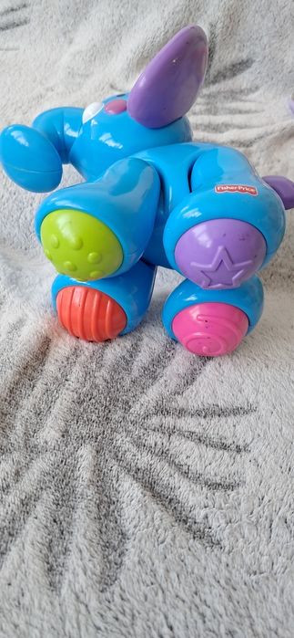 Sensoryczny słoń i kostki