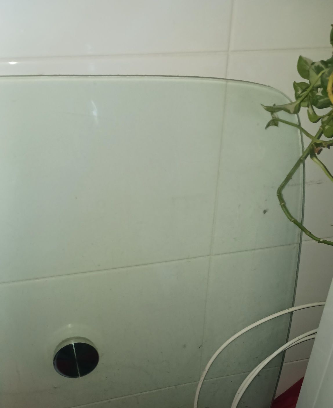 Tampo de mesa em vidro Ovalizada
