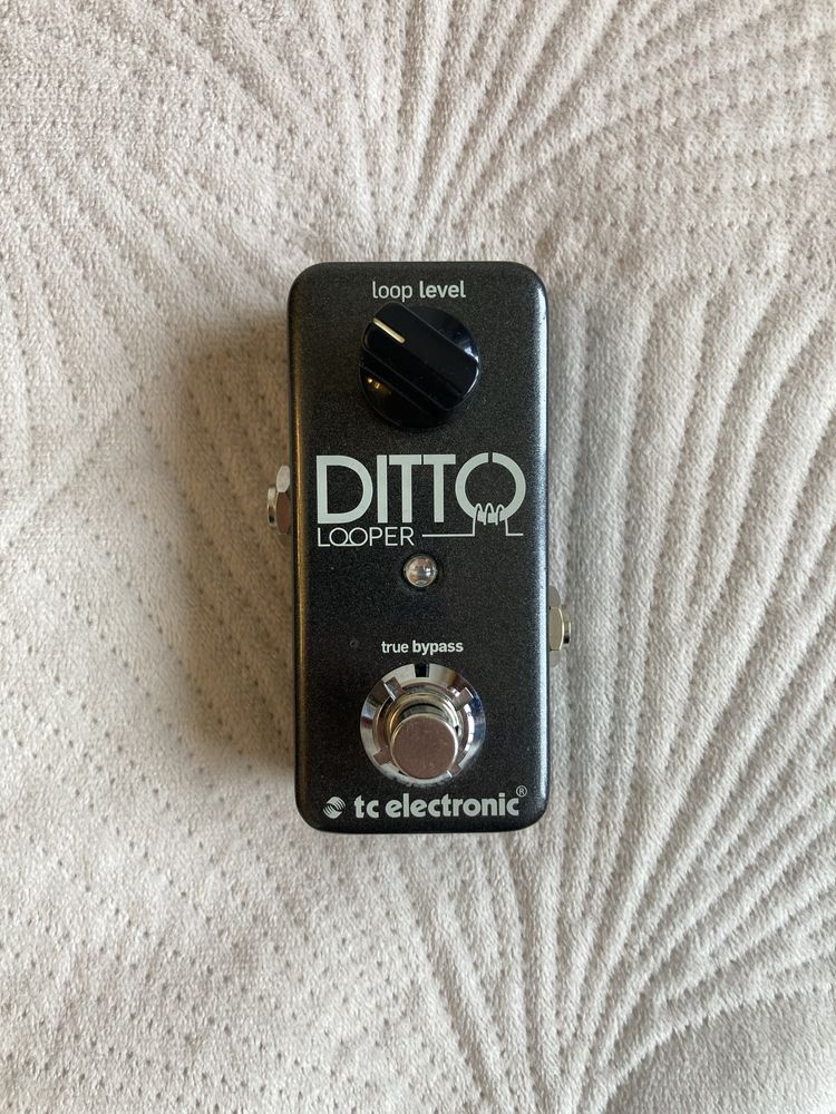 Tc Electronic Ditto Looper