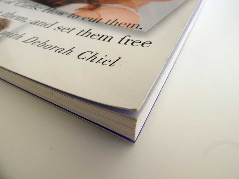 Curly Girl : The Handbook, de Lorraine Massey, com Deborah Chiel