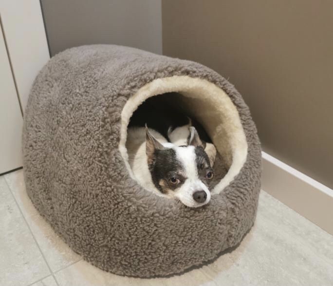 Теплий хутряний будиночок хатинка лежанка для собачки котика 2 розміри