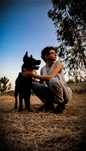 Dog walking/Pet Sitting