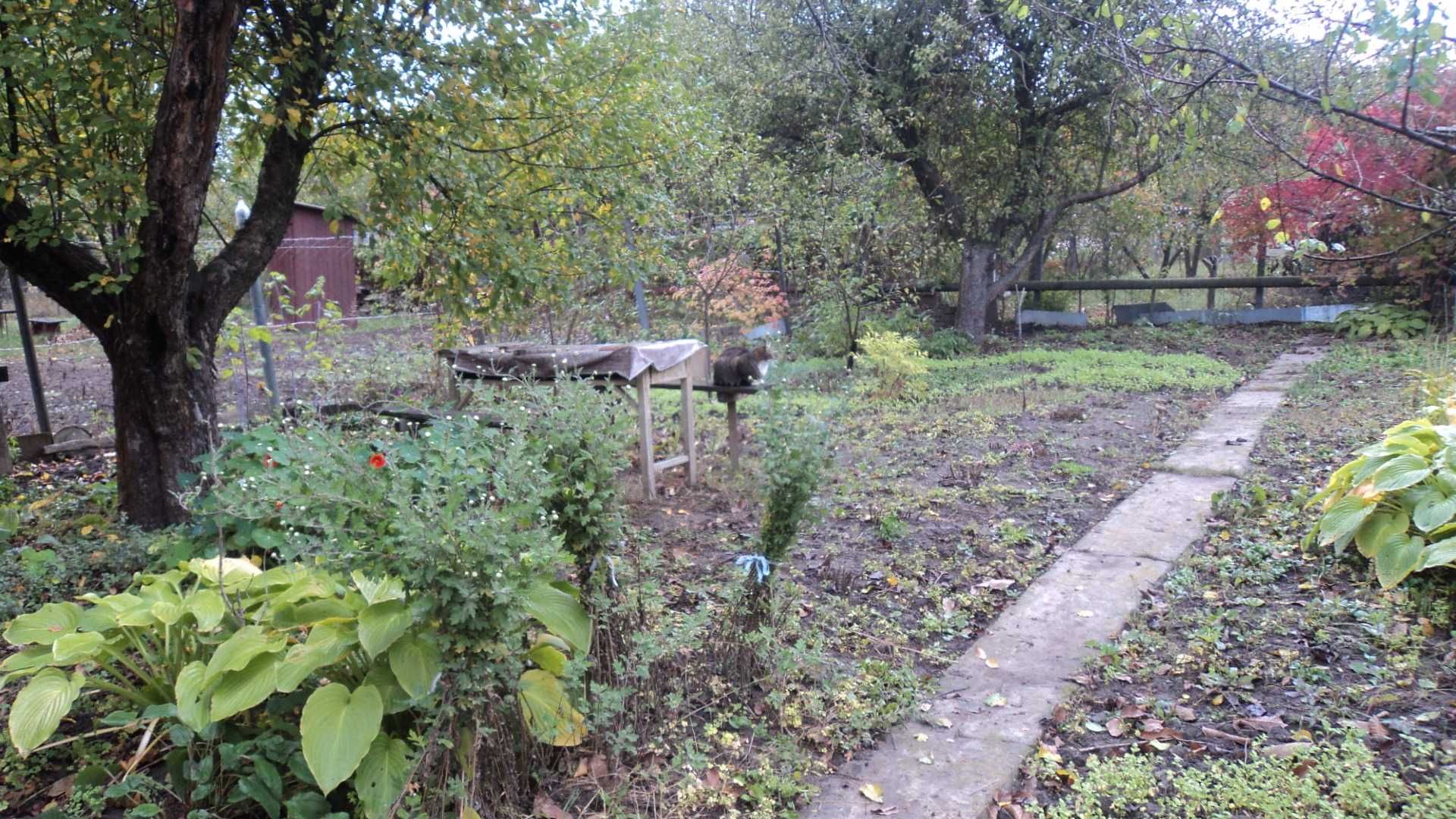 Дачна ділянка поблизу Вакуленської дамби