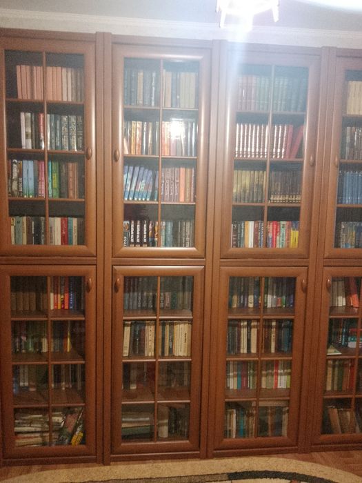 Велика бібліотека,стінка і книги