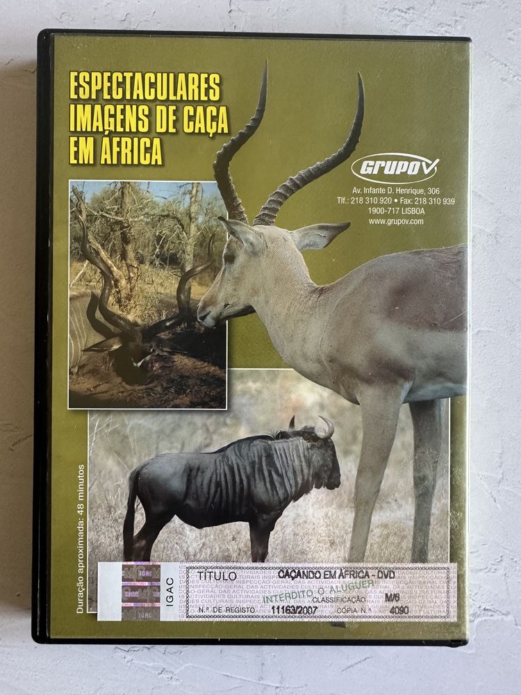 DVD Caçando em África