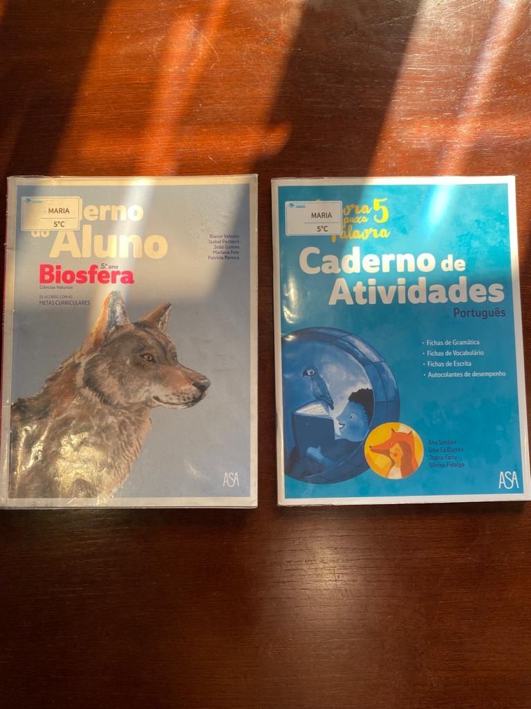 Livros de fichas do 5° ano usados