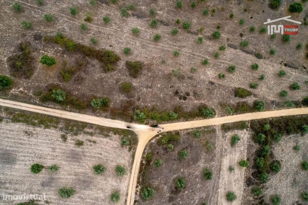 Terreno rústico, para venda, Abrantes - Pego