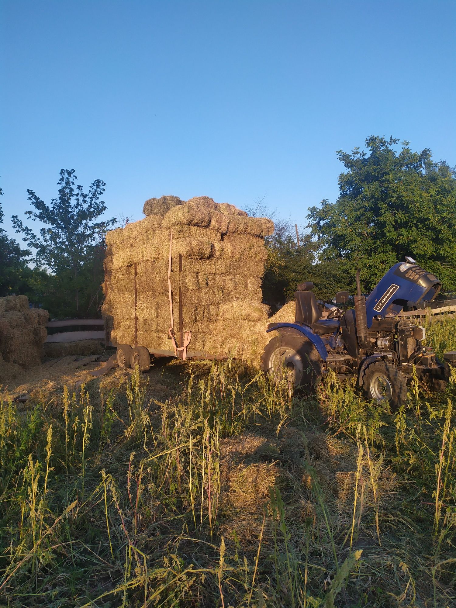 Продам сіно лугове в тюках