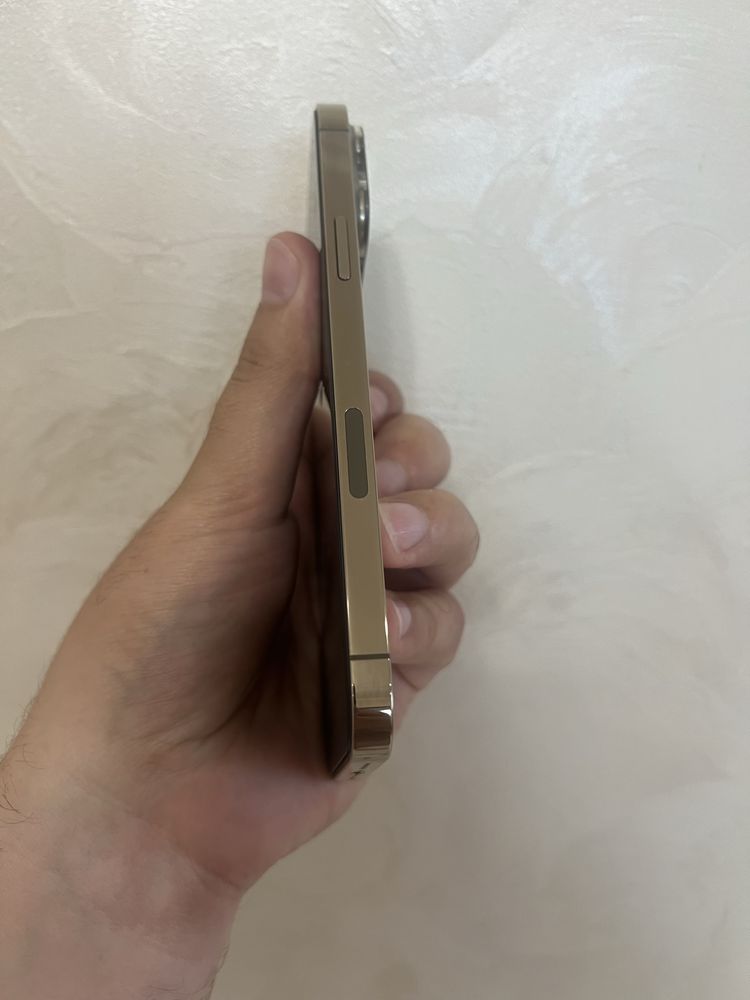 iPhone 13 Pro Max 128gb AKB:88% R-sim
