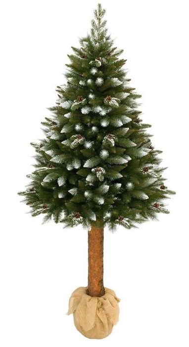 Choinka na pniu 220 cm/Świerk ośnieżony z gałązkami PE