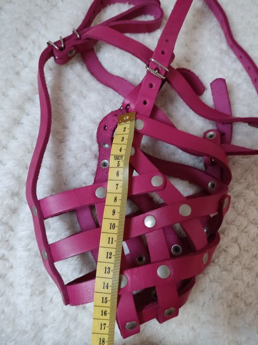 Duży kaganiec dla psa