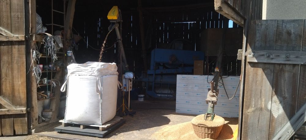 oczyszczone ozime zimowe wszystkie gatunki transport wysyłka osobisty