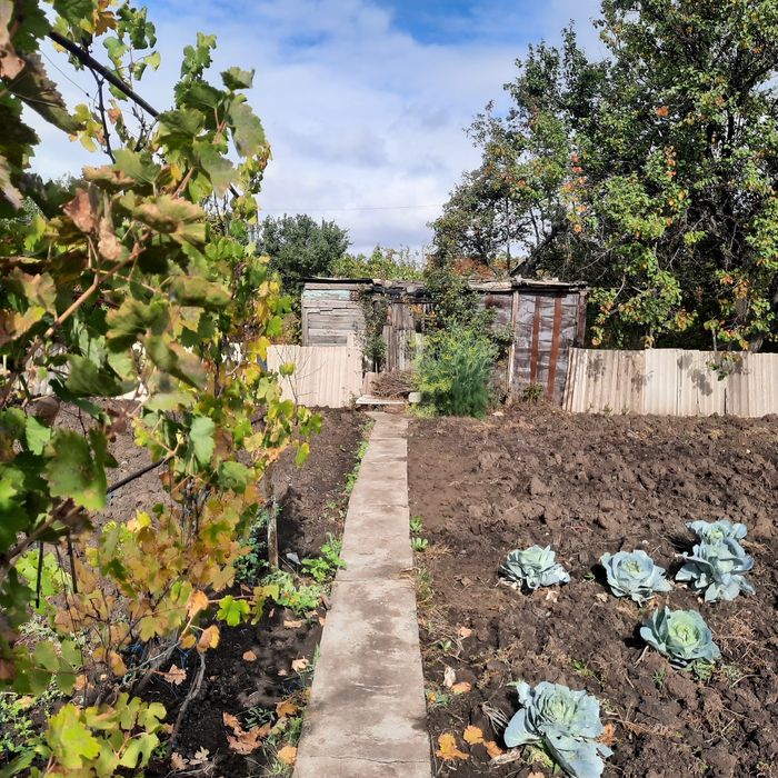 Продаётся дача 4 соток 


---

Продаётся дача в