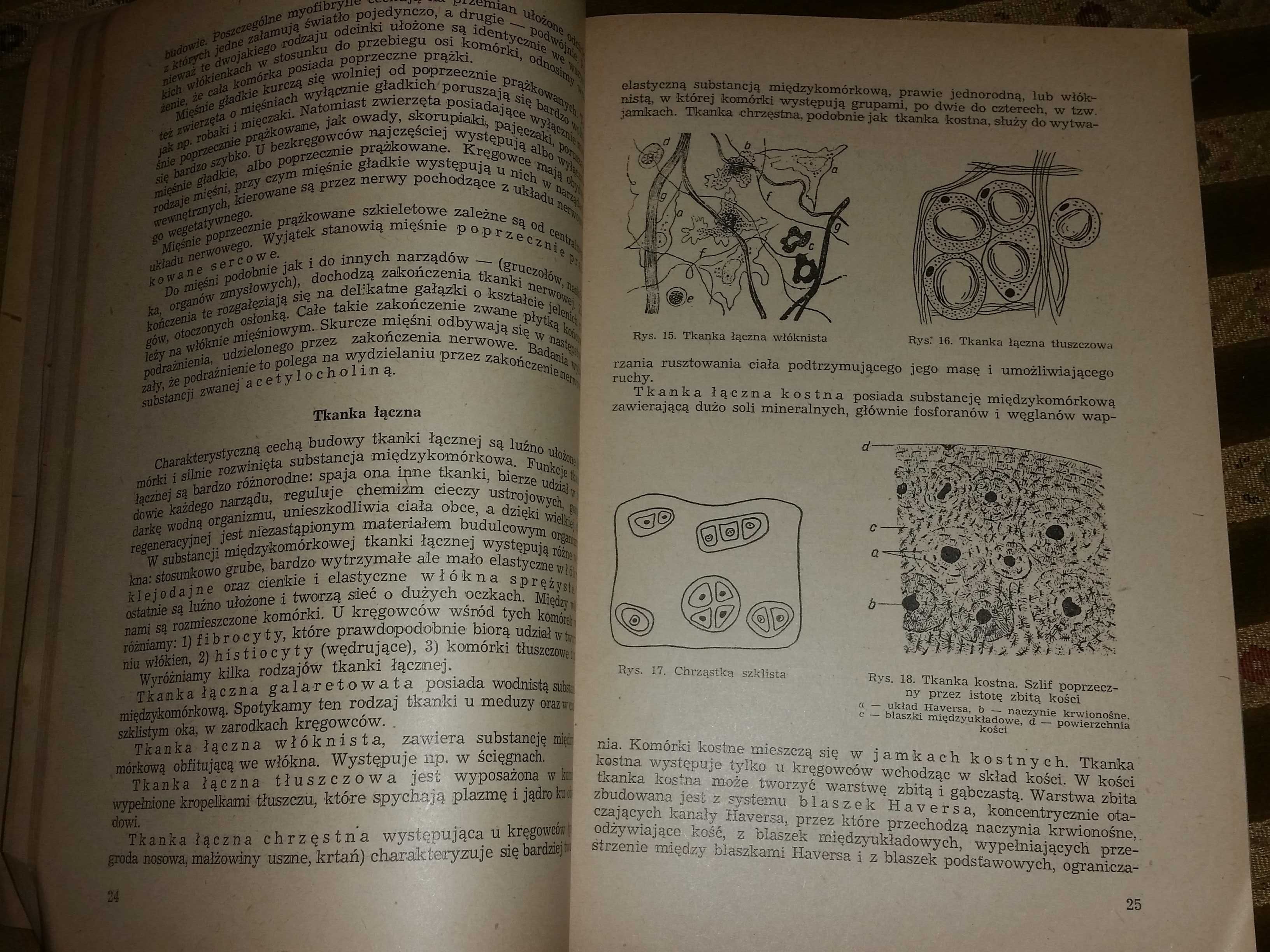 Zoologia ogólna skrypt 1954 Janina Wengris unikat antyk