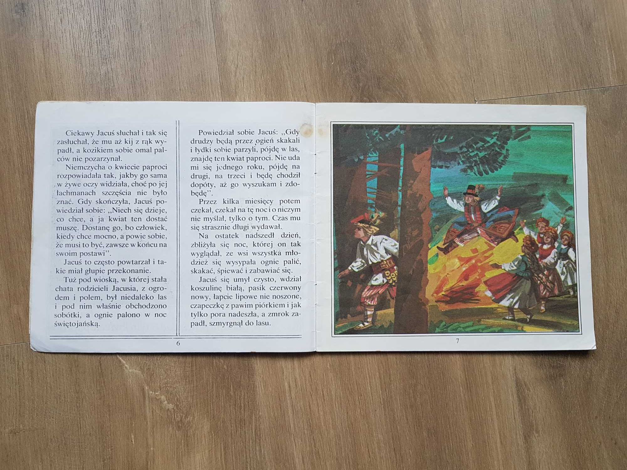 Kwiat paproci Józef Ignacy Kraszewski Seria z krasnalem 1981 rok KAW