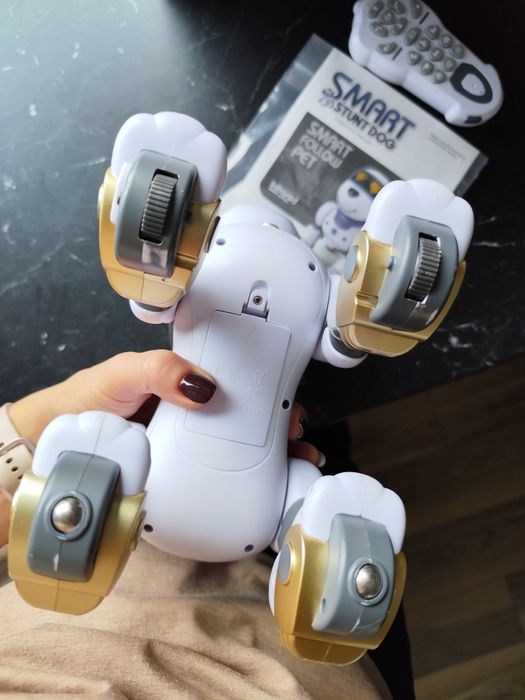 Piesek interaktywny, z pilotem, Smart Robot Dog, 3+