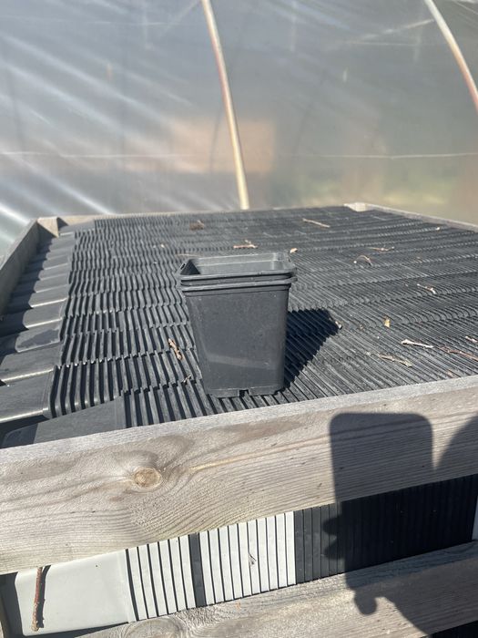 Doniczki produkcyjne P9 0,5l 10x10x9 twarde