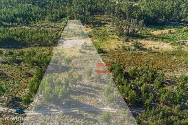 Terreno de grandes dimensões