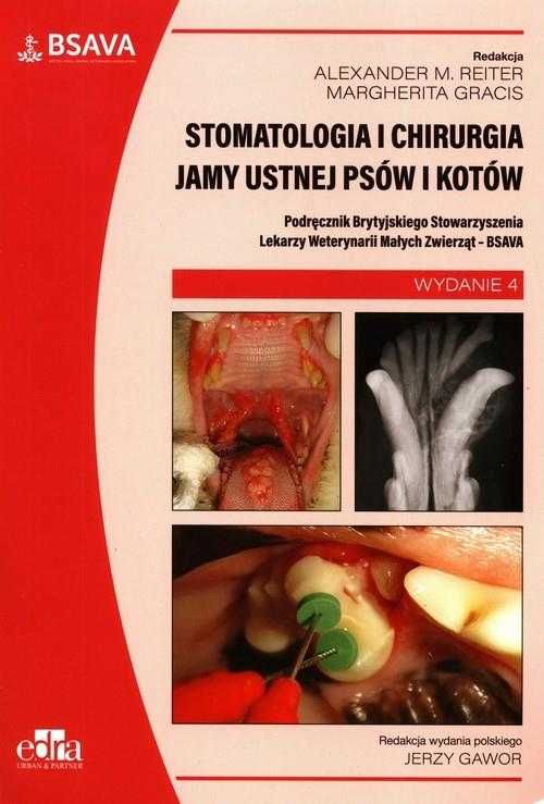 Stomatologia i chirurgia jamy ustnej psów i kotów NOWA NaMedycyne