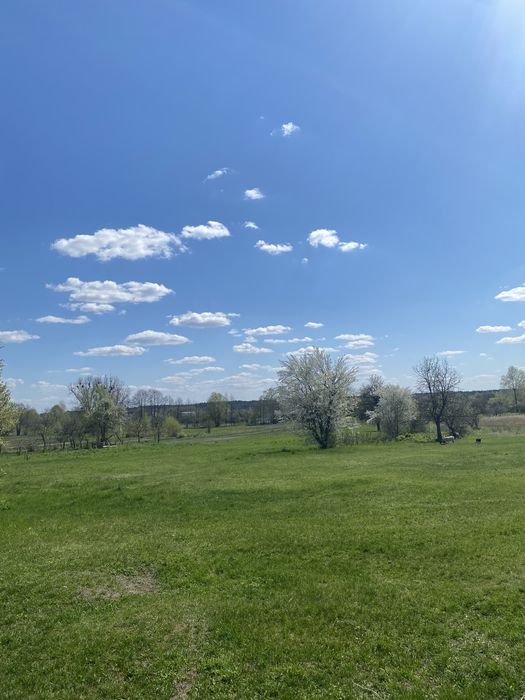 Продам будинок в с. Доротище, від власника