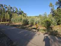 Eucaliptal com 7.500m2 + 3.500m2
