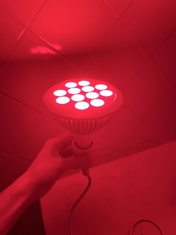 Red Light Therapy