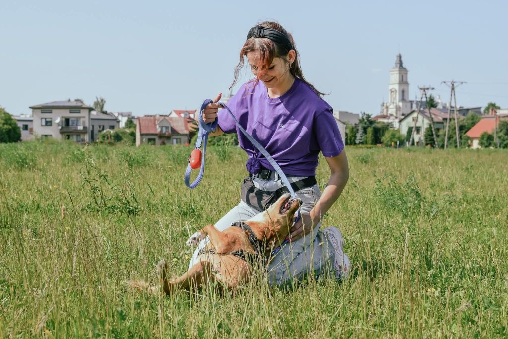 Fanta szuka domu,adoptuj!