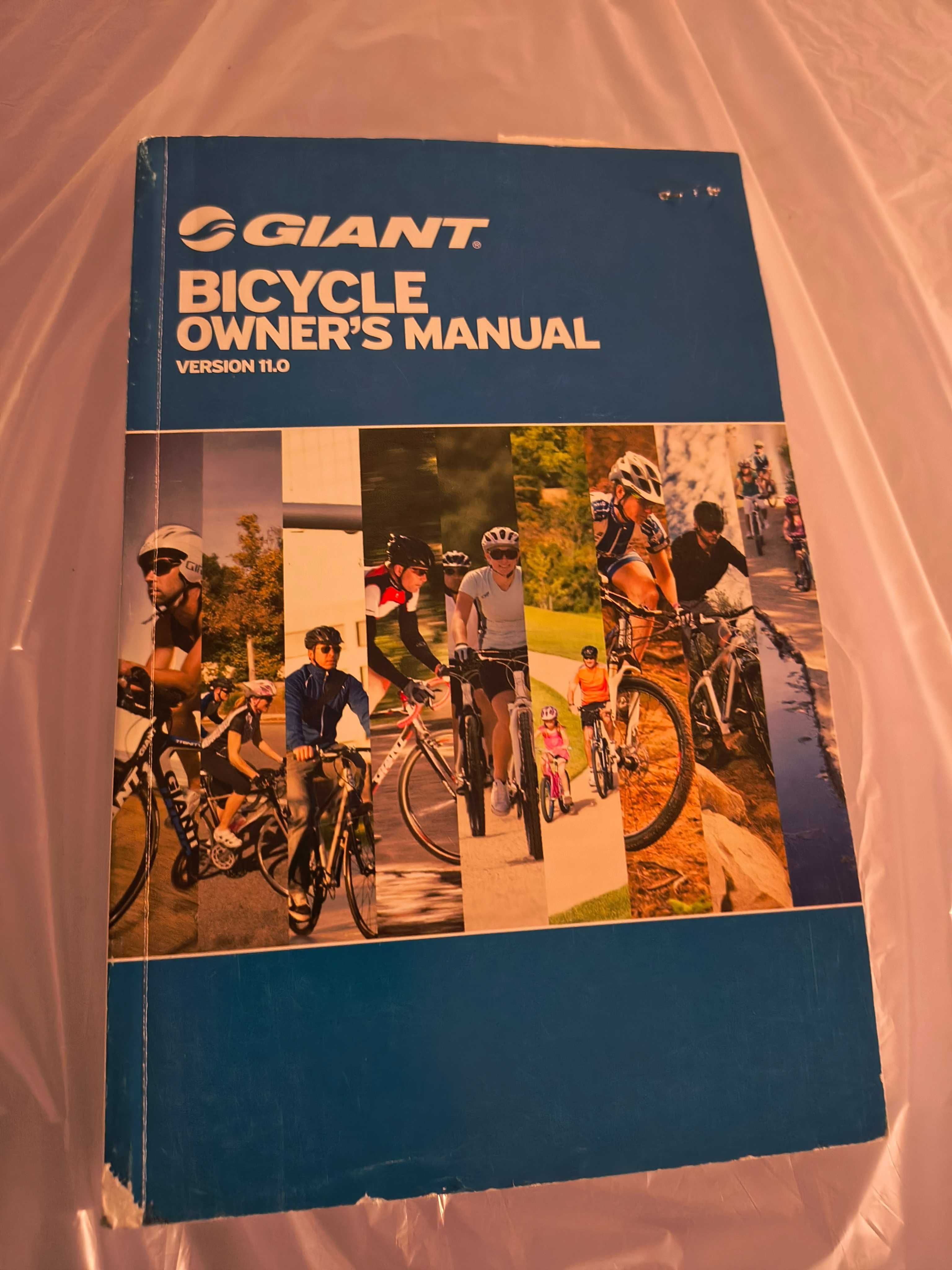 Rower Giant  Roam 2